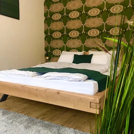 Апартаменты Boroka Belvaros *